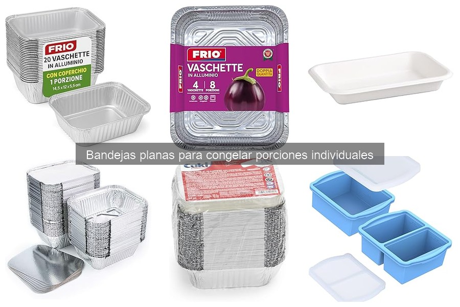 Alternativas a bandejas planas para congelar porciones