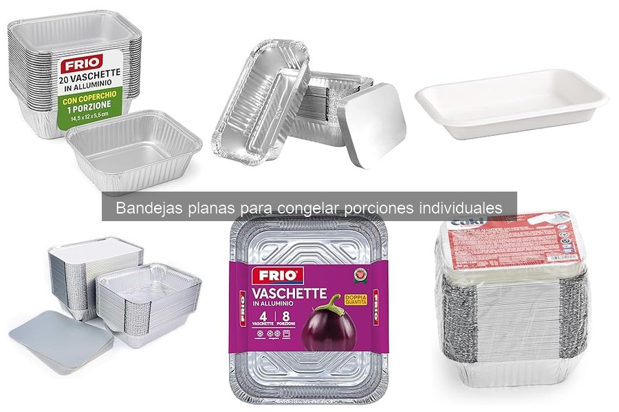Bandejas Planas para Congelar Porciones Individuales: ¿Qué Son?