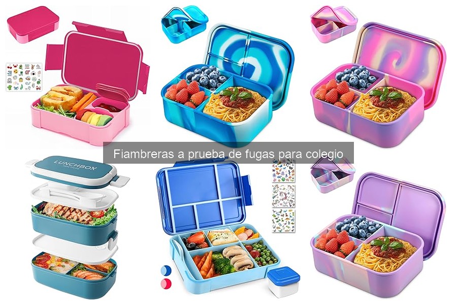 Cómo elegir la fiambrera a prueba de fugas para el colegio