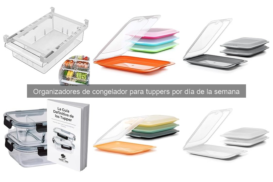 Cómo mantener y limpiar organizadores de congelador para tuppers