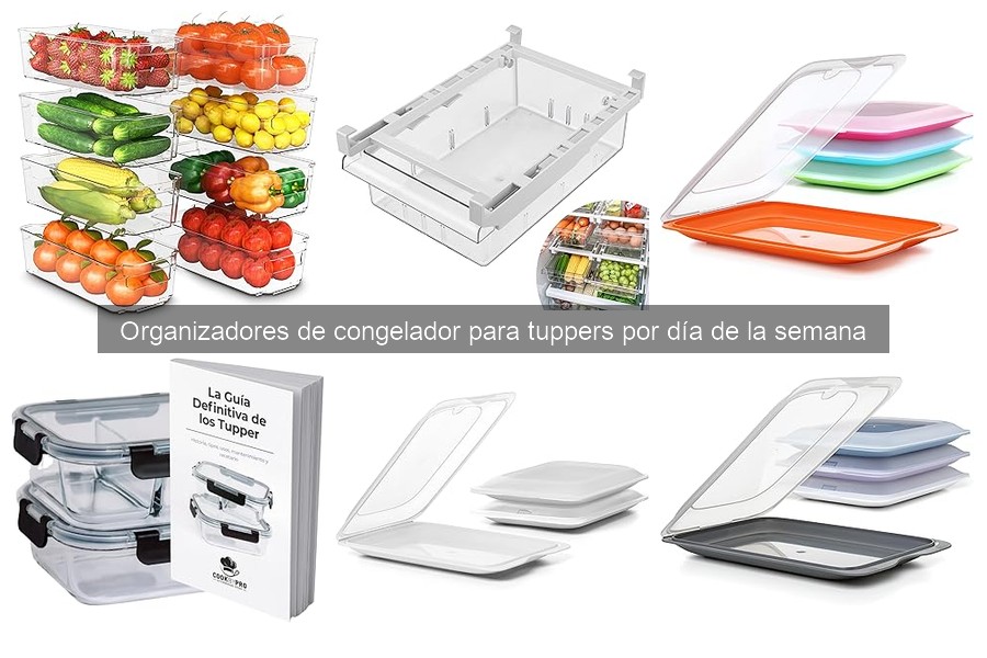 Comparativa de organizadores de congelador para tuppers