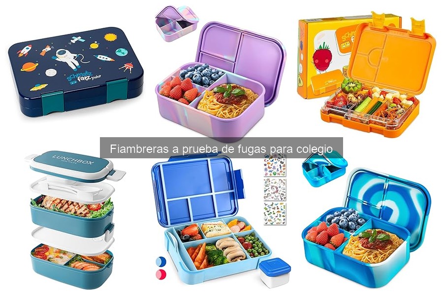 Comparativa: Fiambreras a Prueba de Fugas vs Tradicionales