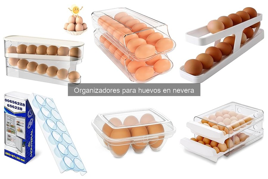 Diferencias entre organizadores de huevos de plástico y vidrio