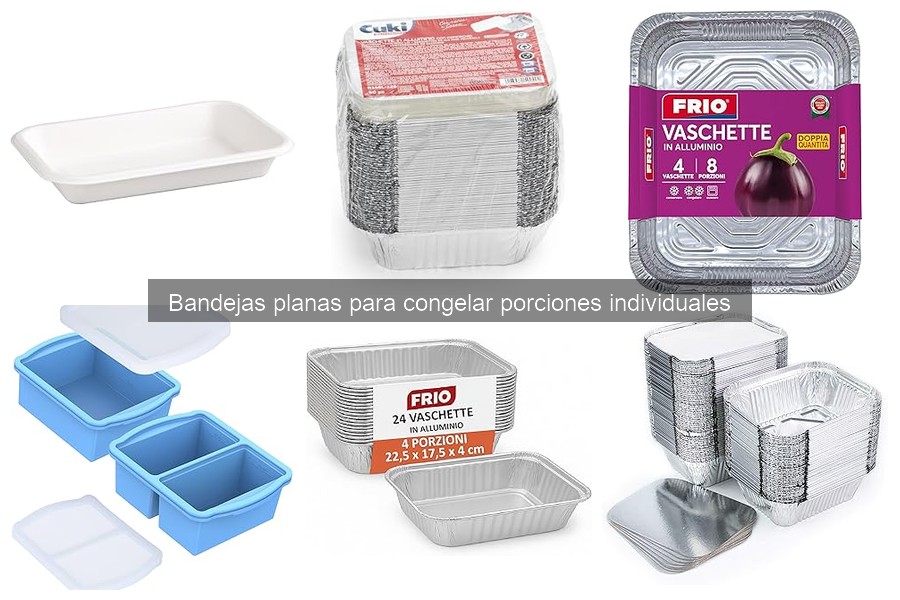 Dónde comprar bandejas planas para congelar porciones individuales