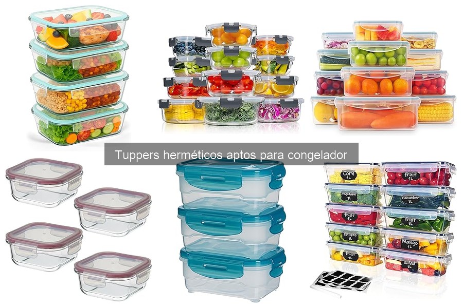 Guía para elegir el mejor tupper hermético para congelador