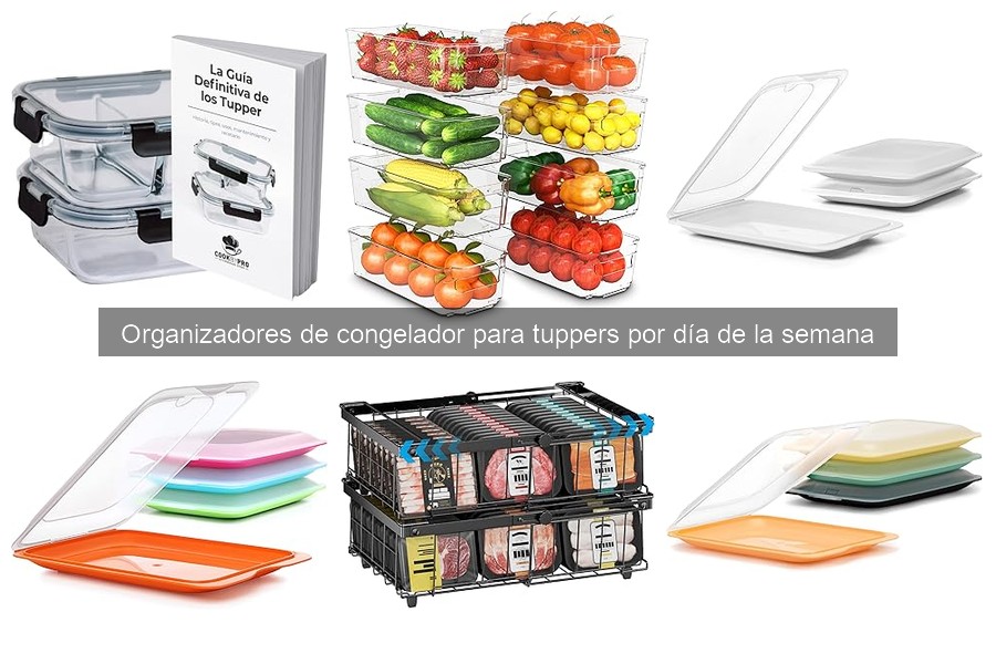 Ideas creativas para organizadores de congelador para tuppers