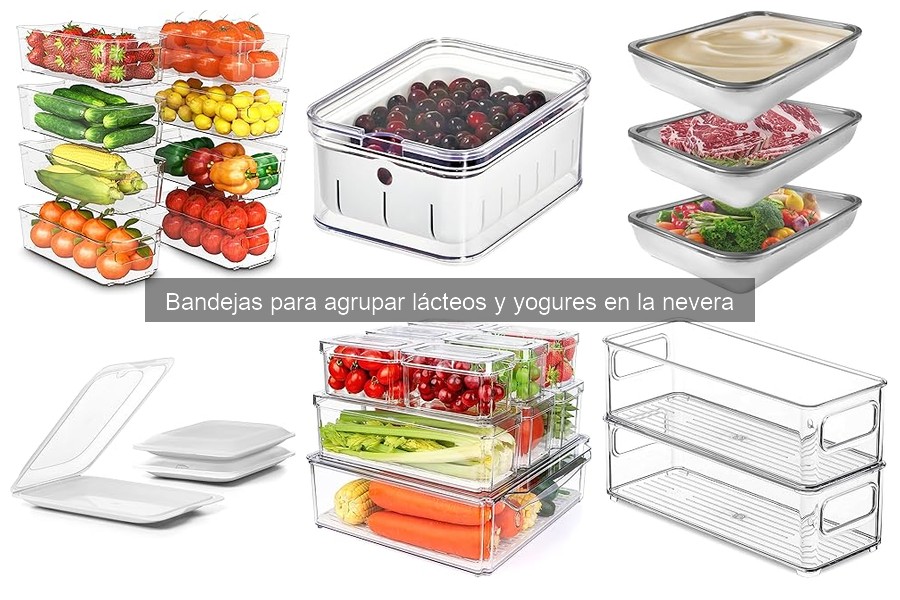 Problemas comunes con bandejas de lácteos y soluciones efectivas