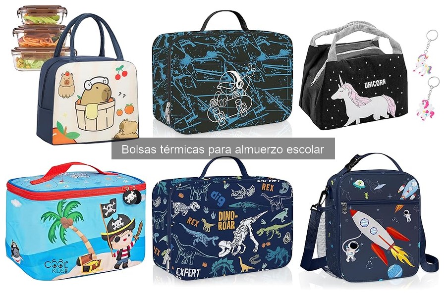 Problemas comunes con bolsas térmicas para almuerzo escolar
