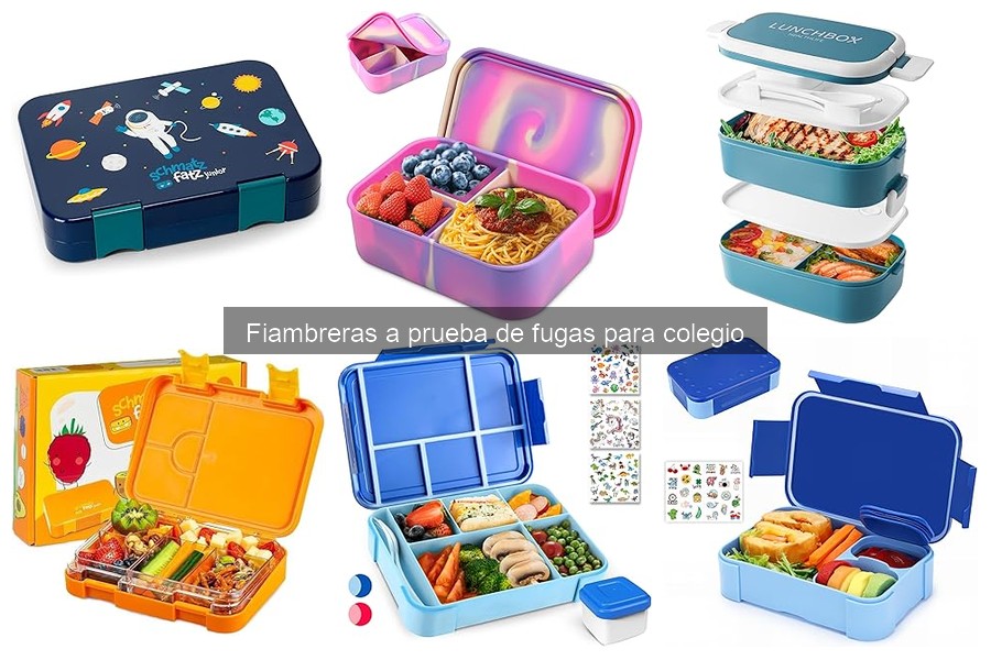 Problemas comunes con fiambreras a prueba de fugas