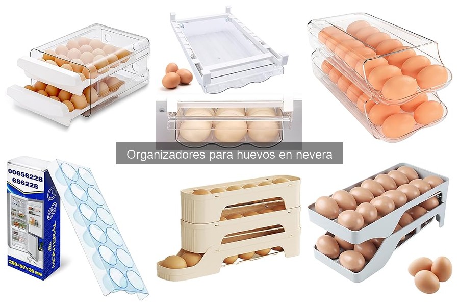 Problemas comunes con organizadores de huevos y soluciones