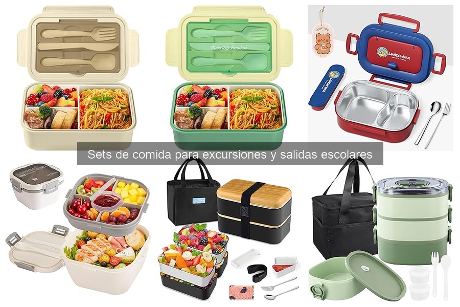 Reseñas de Sets de Comida para Excursiones y Salidas Escolares