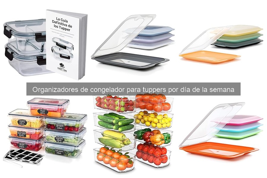 Testimonios sobre organizadores de congelador para tuppers