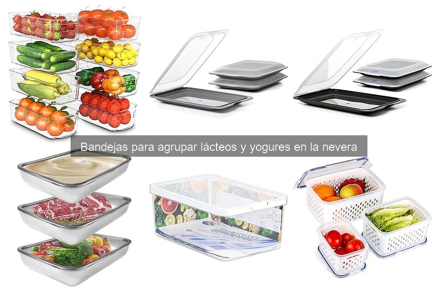 Tipos de bandejas para Lácteos y Yogures en tu Nevera