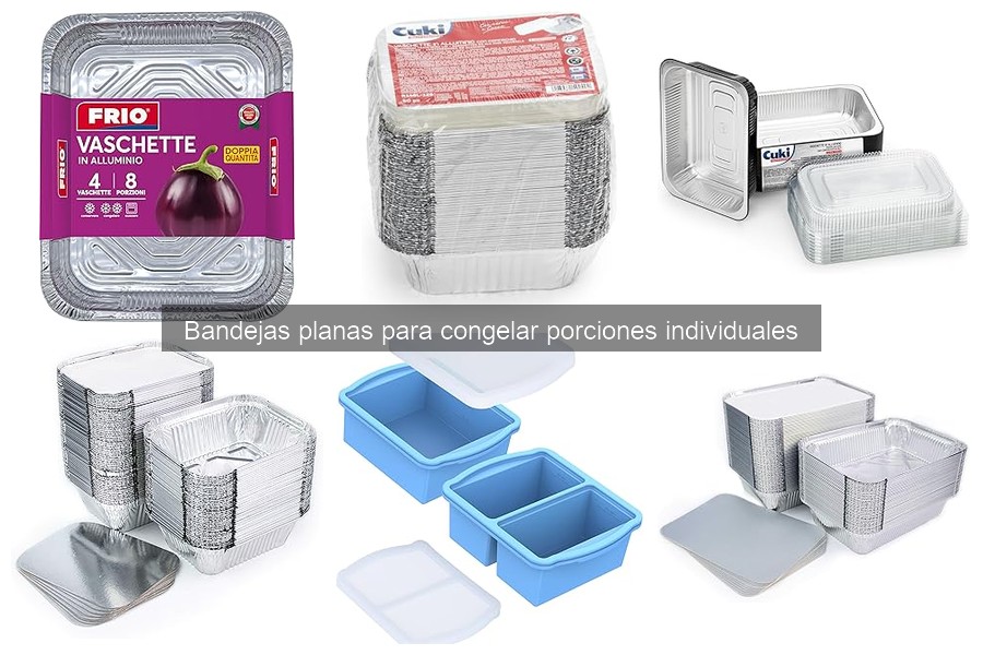 Tipos de bandejas planas para congelar porciones individuales