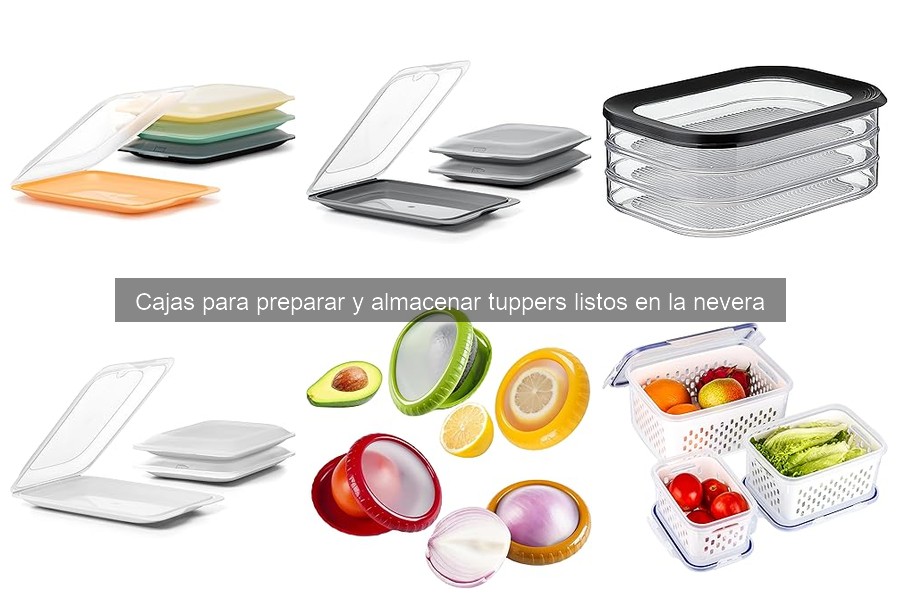 Ventajas y Desventajas de Usar Cajas para Tuppers